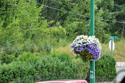 Hanging flower basket