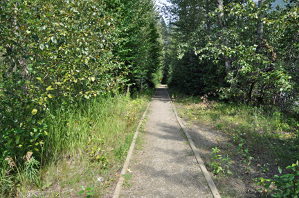 start of the trail