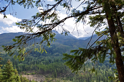 Mt. Terry Fox