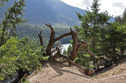 Mt. Terry Fox