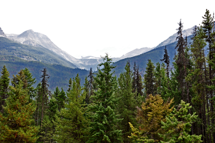 Mt. Terry Fox