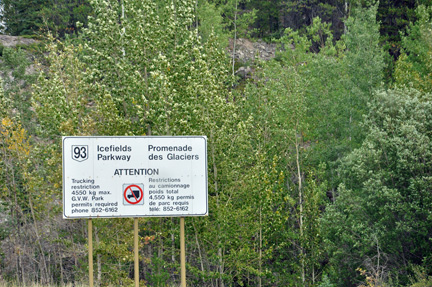 sing - entering Icefields Parkway