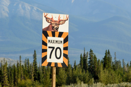 speed limit sign