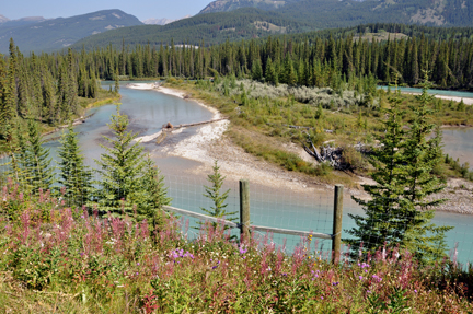 beautiful scenery on the Icefield Parkway