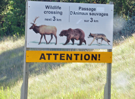 sign - wildlife crossing