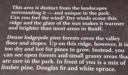 sign - about the distinct landscape