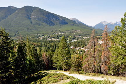 Mt. Rundle