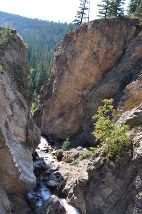 looking down the side of the cliff to see the springs