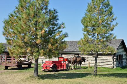 horse and carriage ride