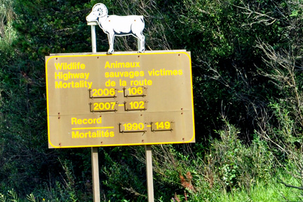 sign - wildlife highway mortality