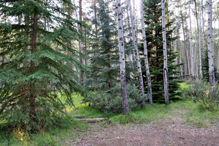 the backyard of the two RV Gypsies