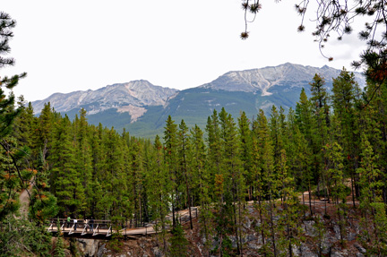 bridge and hiking trail