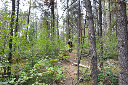 Lee Duquette in the woods