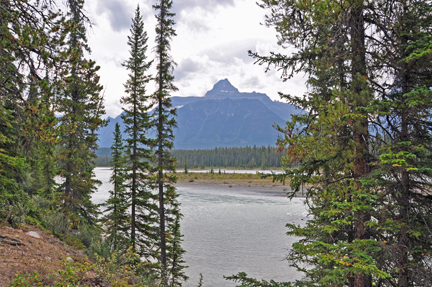 mountain, trees, river