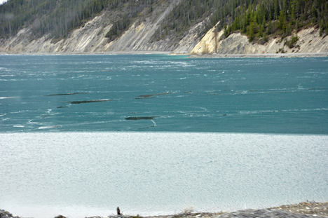 Muncho Lake partially frozen