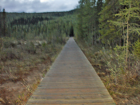 part of the boardwalk leading to the pools