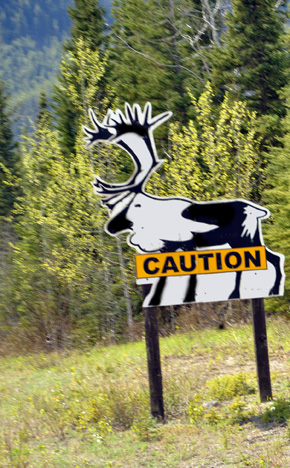 elk sign