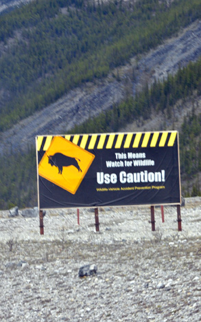 wildlife sign