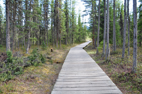 part of the boardwalk leading to the pools