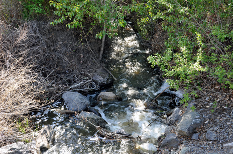 A small bridge and brook inside Brookside Campsite