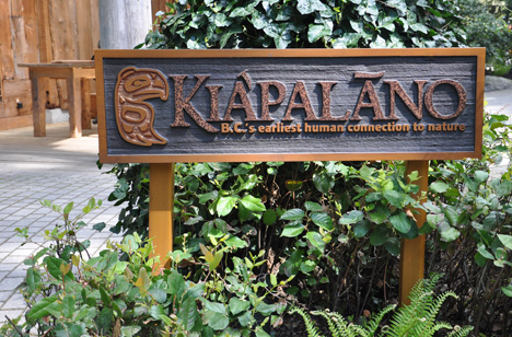sign - Kiapalano 
