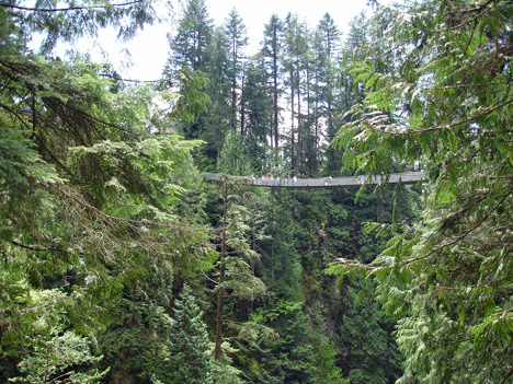view of the Capilano Bridge from Cliff Hanger area