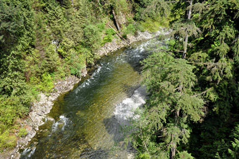 view of the river from the bridge