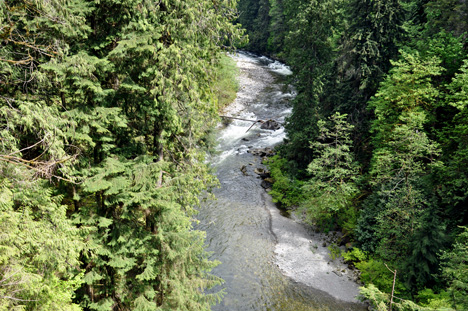 view of the river from the bridge