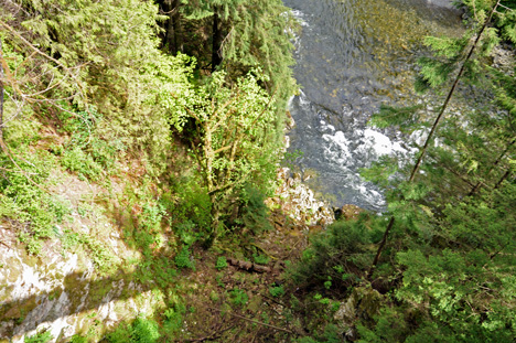 view of the river from the bridge