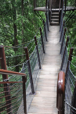 the second bridge at Treetops Adventure