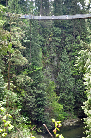 a view of the Capilano Bridge from Cliff Hanger area 