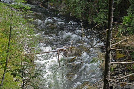 view of the river from various locations