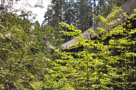 the Capilano Suspension Bridge