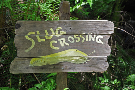 sign - slug crossing