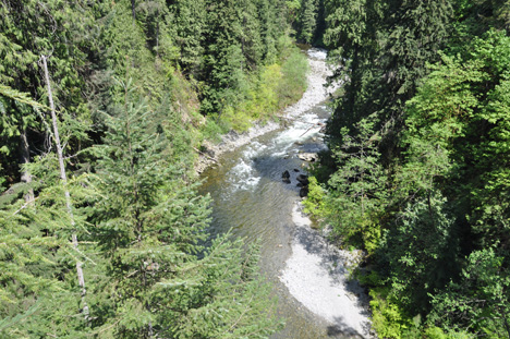 view of the river from the bridge