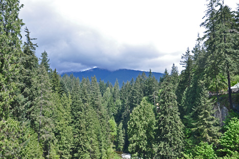 a cloud covered Grouse Mountain as viewed from the Capilano Bridge 