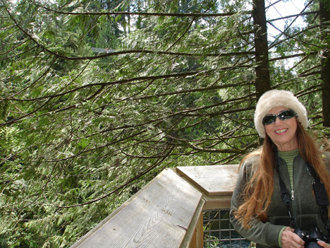 Karen Duquette and a view of the Capilano Bridge from Cliff Hanger area 