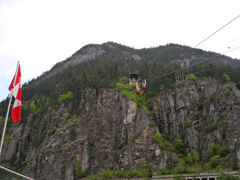 2 trams passing