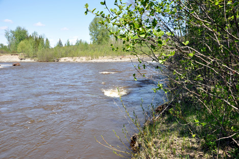 the  creek