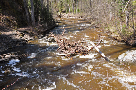 the flow downhill