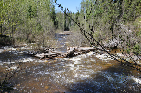 the chutes