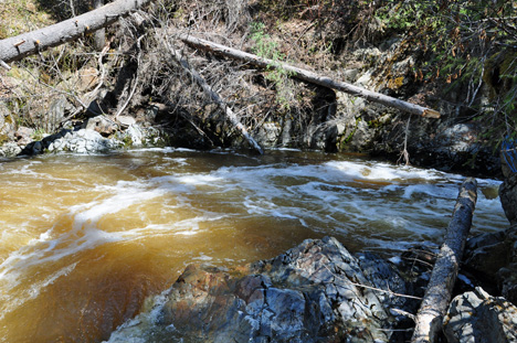 the chutes