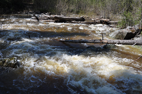 the chutes