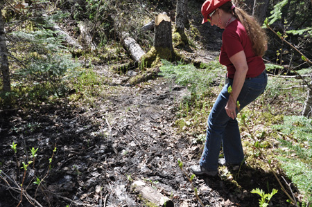 Karen trying to avoid the MUD!