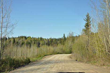 Hixon Road is a small, narrow, and curvy dirt road