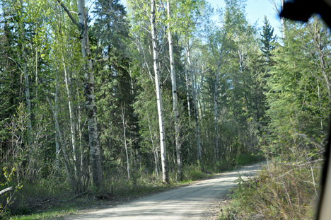 Hixon Road is a small, narrow, and curvy dirt road