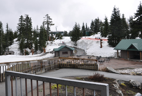 first view at the top of Grouse Mountain