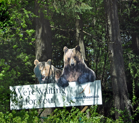sign - the bears are waiting for you at Grouse Mountain