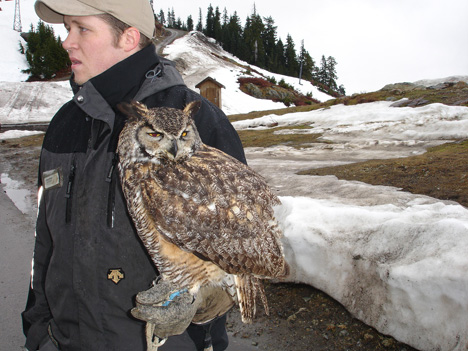 Ryan and an owl