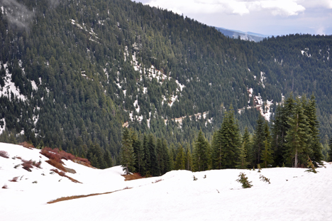 view from the other side of Grouse Mountain